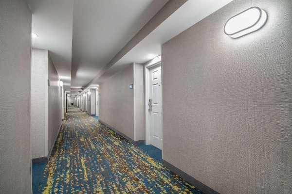 Hampton Inn By Hilton East Aurora image 6